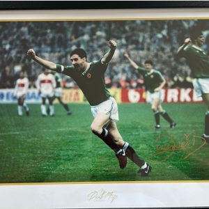John Aldridge Signed and Framed Ireland Print